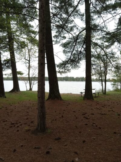 Side Lake Campground - Side Lake, MN