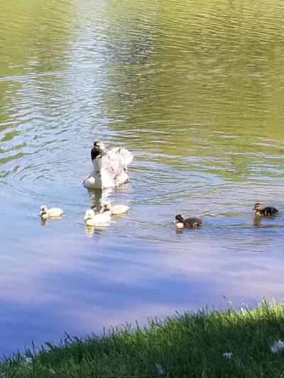 Sidney Legion Park - Sidney, NE