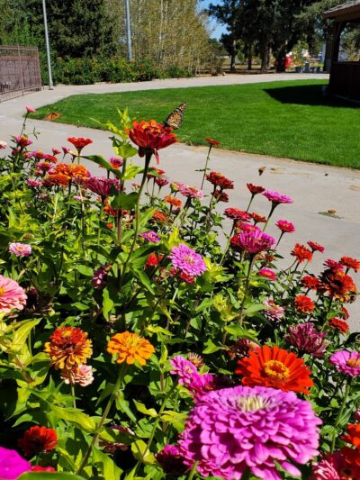 Sidney Legion Park - Sidney, NE