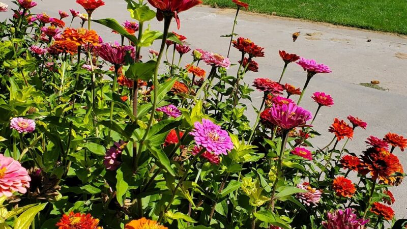 Sidney Legion Park - Sidney, NE