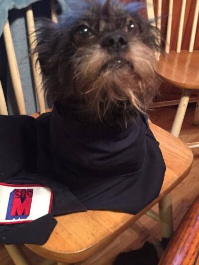 Delaware Valley Humane Society - Sidney, NY