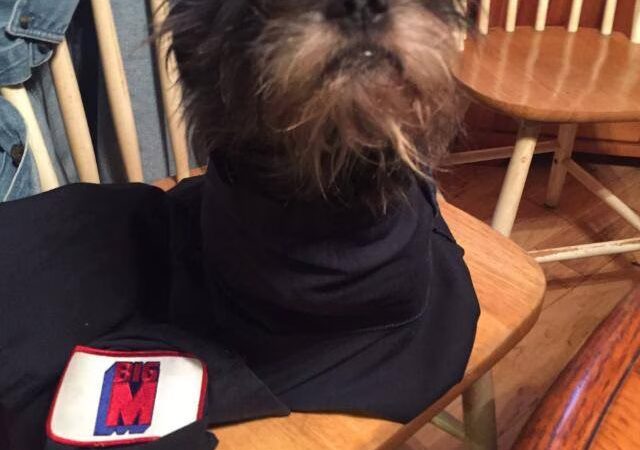 Delaware Valley Humane Society - Sidney, NY