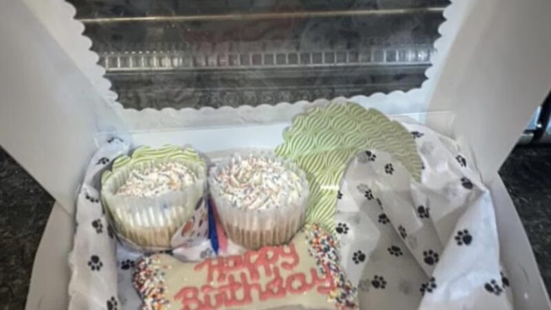 The Houndstooth Bakery and Boutique LLC - Sidney, NY