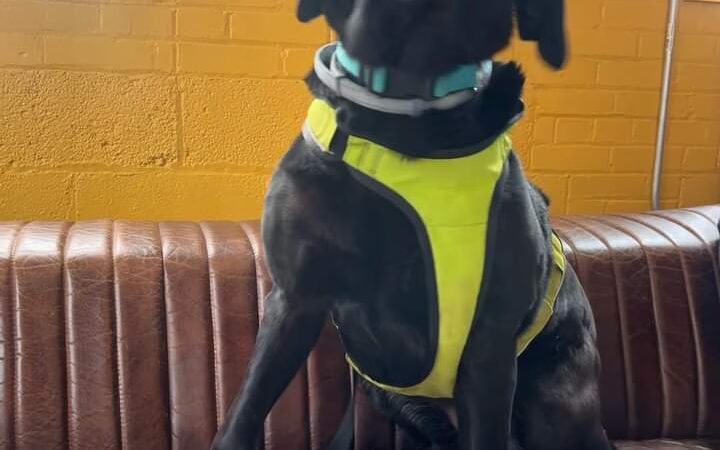 The Houndstooth Bakery and Boutique LLC - Sidney, NY