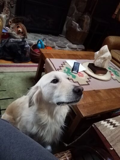 The Houndstooth Bakery and Boutique LLC - Sidney, NY