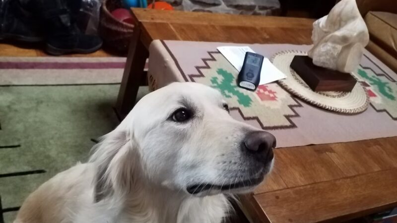 The Houndstooth Bakery and Boutique LLC - Sidney, NY