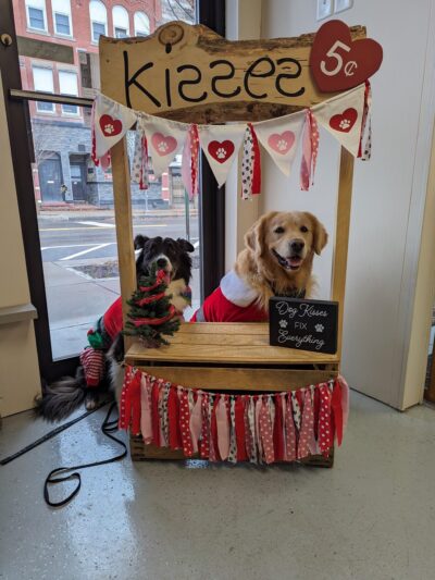 The Houndstooth Bakery and Boutique LLC - Sidney, NY