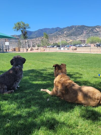 Fort Huachuca Dog Park - Sierra Vista, AZ