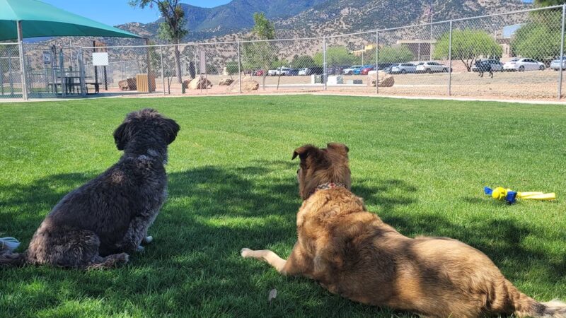 Fort Huachuca Dog Park - Sierra Vista, AZ