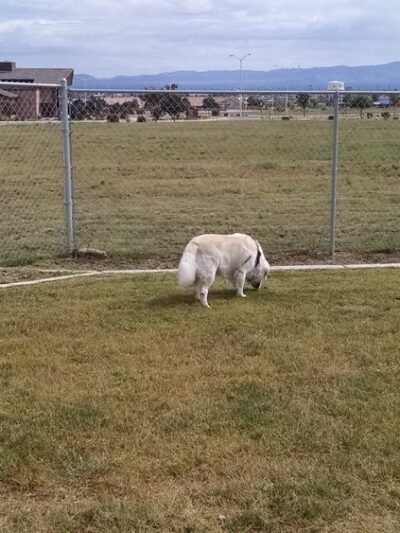 Fort Huachuca Dog Park - Sierra Vista, AZ