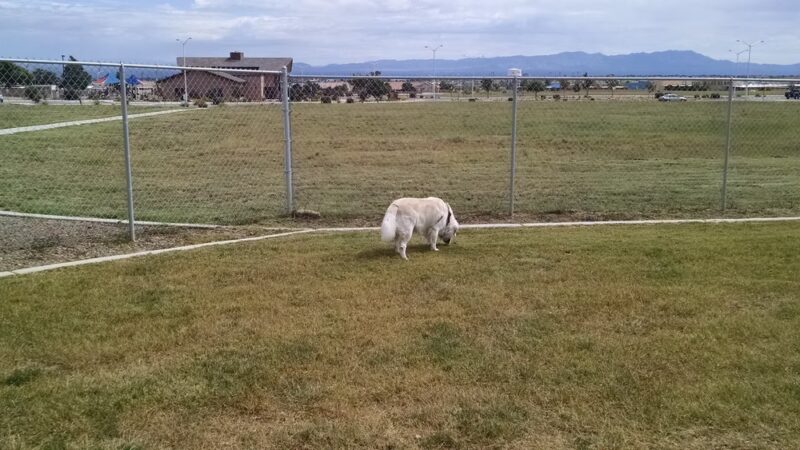 Fort Huachuca Dog Park - Sierra Vista, AZ