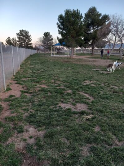 Tompkins Dog Park - Sierra Vista, AZ