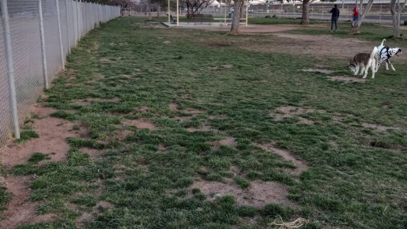 Tompkins Dog Park - Sierra Vista, AZ