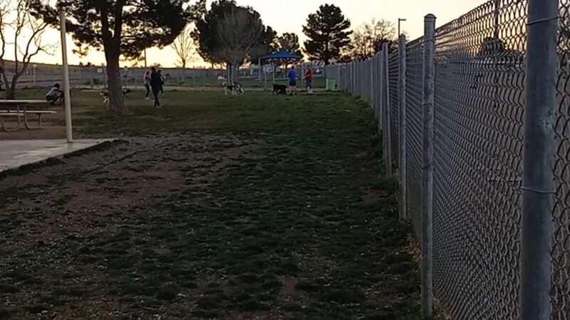 Tompkins Dog Park - Sierra Vista, AZ