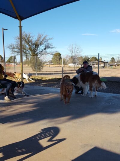 Tompkins Dog Park - Sierra Vista, AZ