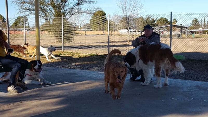 Tompkins Dog Park - Sierra Vista, AZ