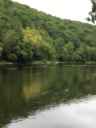 Clear Creek State Park - Sigel, PA