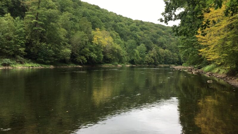 Clear Creek State Park - Sigel, PA