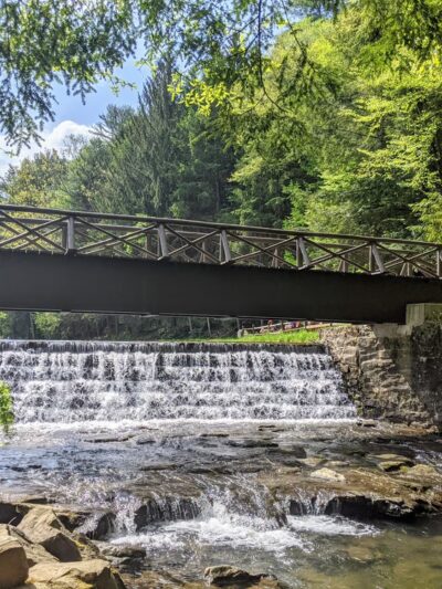 Clear Creek State Park - Sigel, PA