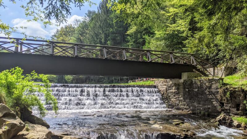 Clear Creek State Park - Sigel, PA