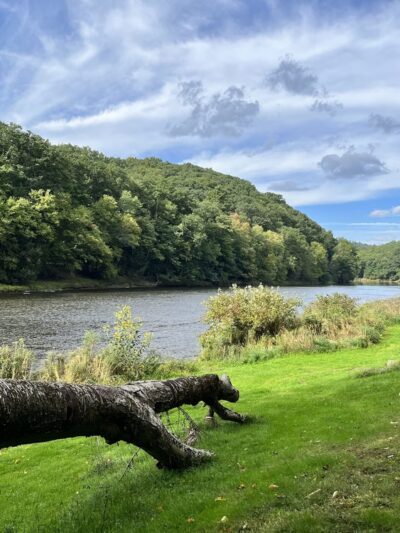 Clear Creek State Park - Sigel, PA