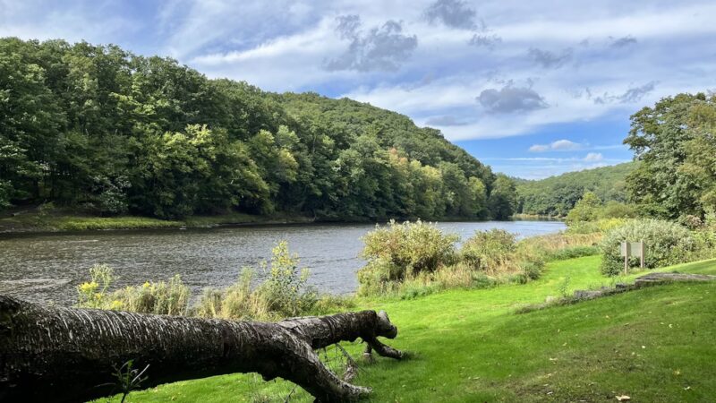 Clear Creek State Park - Sigel, PA