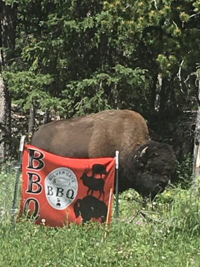 Silver Gate BBQ - Silver Gate, MT