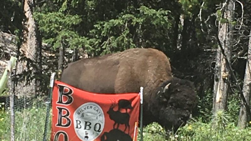 Silver Gate BBQ - Silver Gate, MT