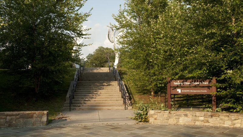 Takoma-Piney Branch Park - Silver Spring, MD