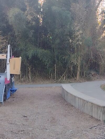 Takoma-Piney Branch Park - Silver Spring, MD