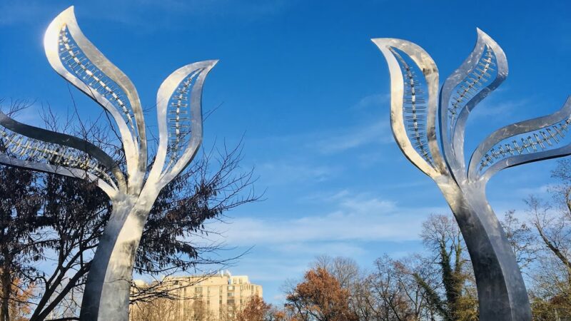 Takoma-Piney Branch Park - Silver Spring, MD