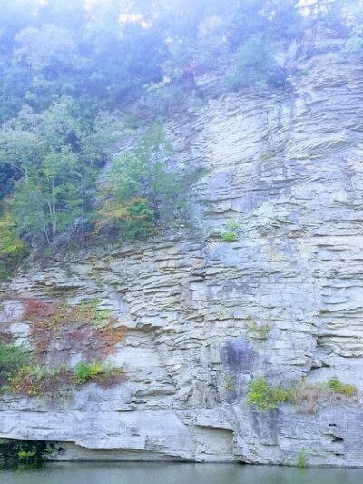 Rd Bailey Lake Day Use Shelter - Simon, WV