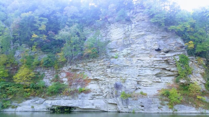 Rd Bailey Lake Day Use Shelter - Simon, WV