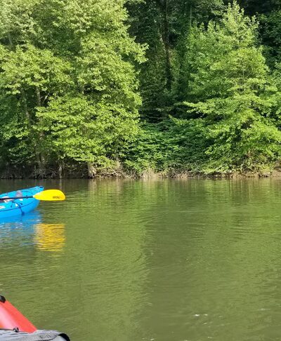 Rd Bailey Lake Day Use Shelter - Simon, WV