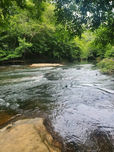 Greenville Technical College Nature Trail - Simpsonville, SC