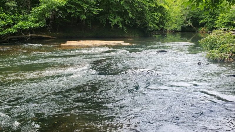 Greenville Technical College Nature Trail - Simpsonville, SC