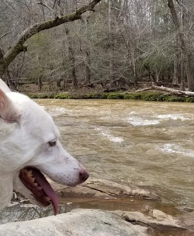 Greenville Technical College Nature Trail - Simpsonville, SC