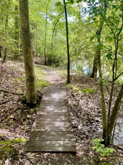 Greenville Technical College Nature Trail - Simpsonville, SC