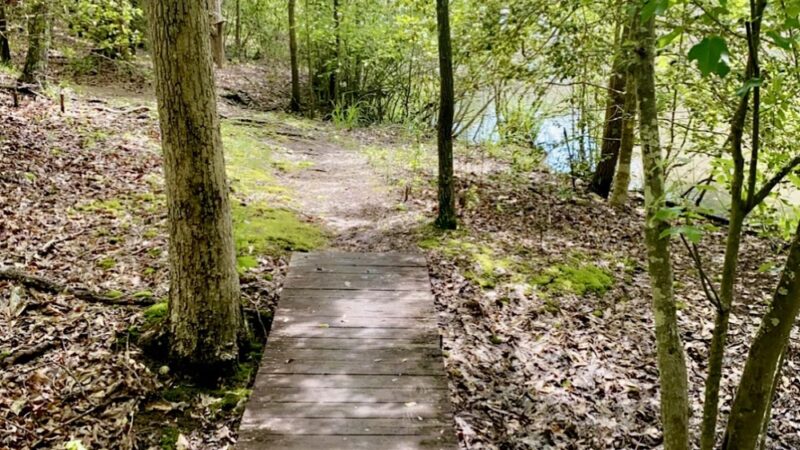 Greenville Technical College Nature Trail - Simpsonville, SC