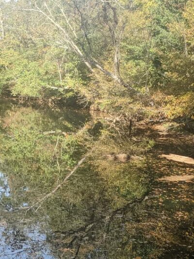 Greenville Technical College Nature Trail - Simpsonville, SC