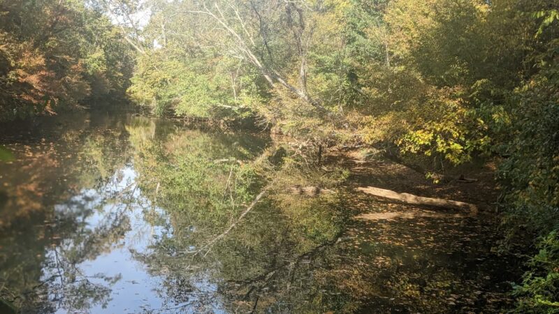Greenville Technical College Nature Trail - Simpsonville, SC