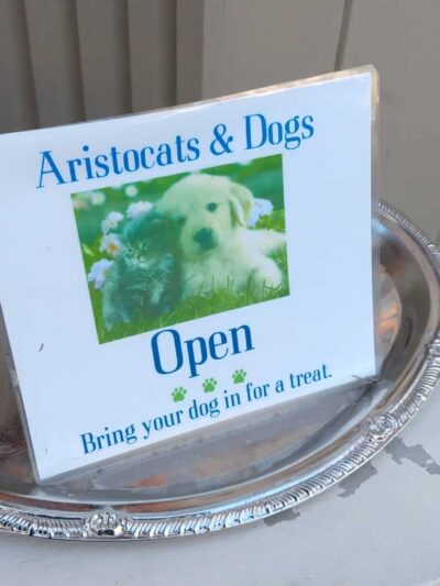 Aristocats & Dogs - Skaneateles, NY