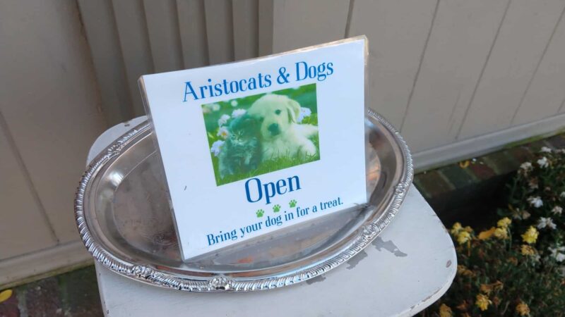 Aristocats & Dogs - Skaneateles, NY