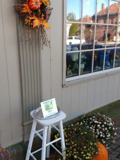 Aristocats & Dogs - Skaneateles, NY