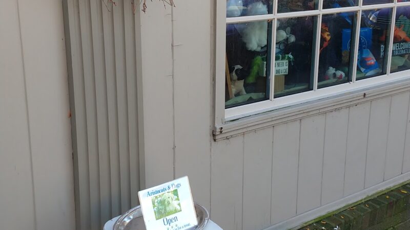 Aristocats & Dogs - Skaneateles, NY