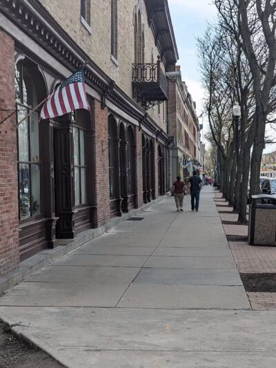 Aristocats & Dogs - Skaneateles, NY