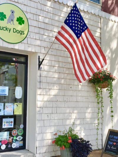 Lucky Dogs - Skaneateles, NY