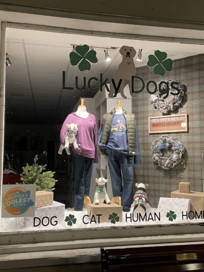 Lucky Dogs - Skaneateles, NY