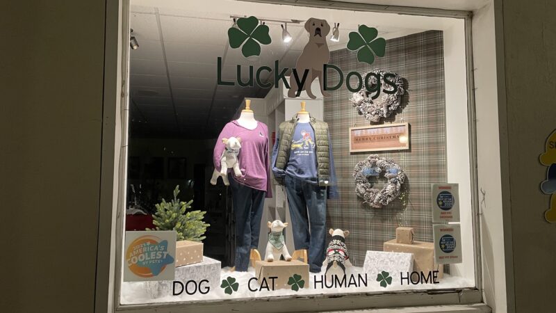 Lucky Dogs - Skaneateles, NY