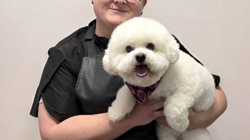 Lucky Dogs Grooming Spa - Skaneateles, NY